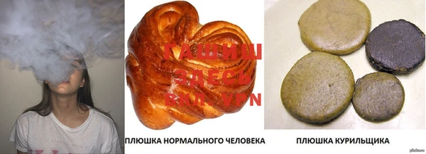PSILOCYBIN Алзамай