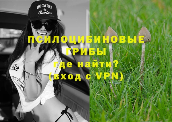 экстази Абаза